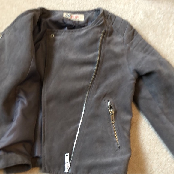 Suede biker jacket - Picture 4 of 4